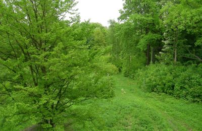 Kasteel te koop Gwoździany, Spółdzielcza 4a, Silezië, Park