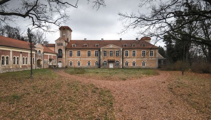 Château à vendre Dobrocin, Varmie-Mazurie,  Pologne