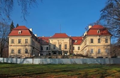 Château à vendre Grodziec, Basse-Silésie:  Vue arrière