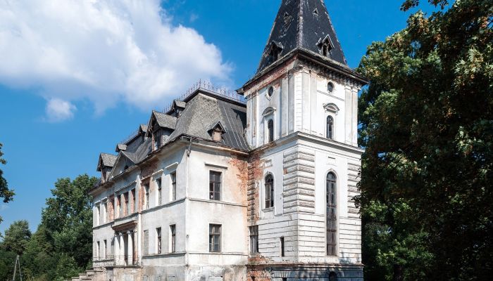 Château à vendre Budziwojów, Basse-Silésie,  Pologne