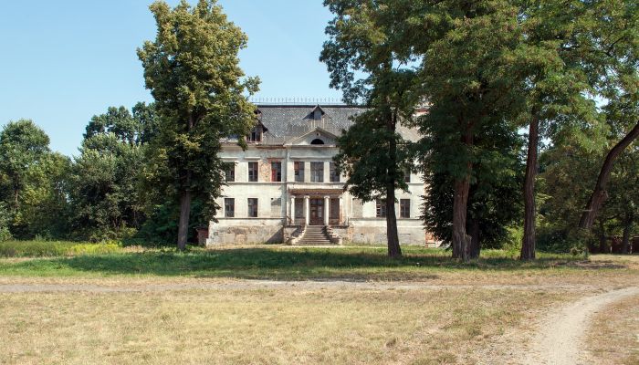 Château Budziwojów 2