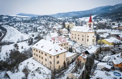 Château à vendre Žitenice, Zámek Žitenice, Ústecký kraj:  