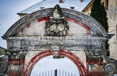 Château à vendre Žitenice, Zámek Žitenice, Ústecký kraj:  