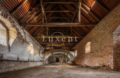 Château à vendre Žitenice, Zámek Žitenice, Ústecký kraj:  