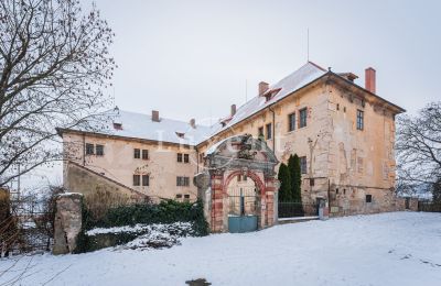 Château à vendre Žitenice, Zámek Žitenice, Ústecký kraj:  Vue frontale