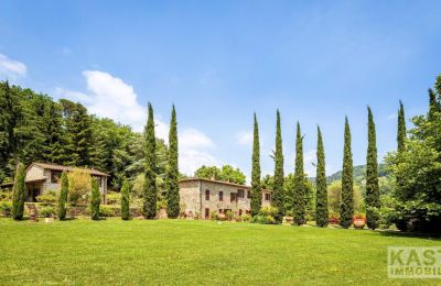 Maison de campagne à vendre Lucca, Toscane:  Terrain