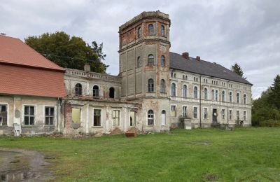 Château à vendre Cecenowo, Pałac w Cecenowie, Poméranie:  