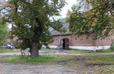Kasteel te koop Cecenowo, Pałac w Cecenowie, Pommeren, Foto 10/15