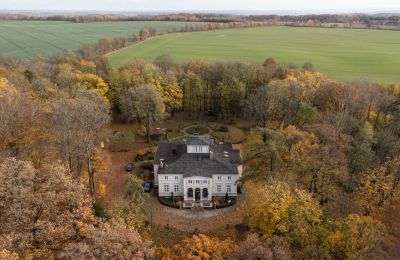 Manoir à vendre Lisewo, Dwór w Lisewie, Poméranie:  Drone