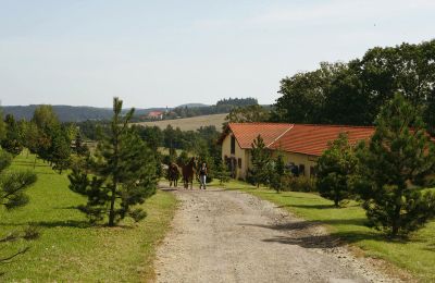 Manoir à vendre Benešov, Středočeský kraj:  