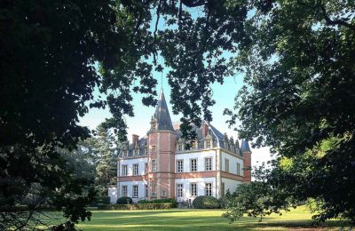 Château à vendre Saint-Bertrand-de-Comminges, Occitanie:  Vue arrière
