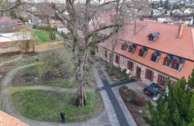 Château à vendre Hesse:  