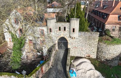 Château à vendre Hesse:  