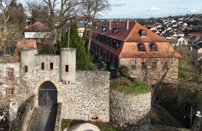 Château à vendre Hesse:  