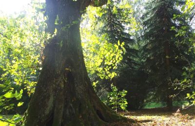 Landhuis te koop Paplin, Dwór w Paplinie, Mazovië, Foto 17/20