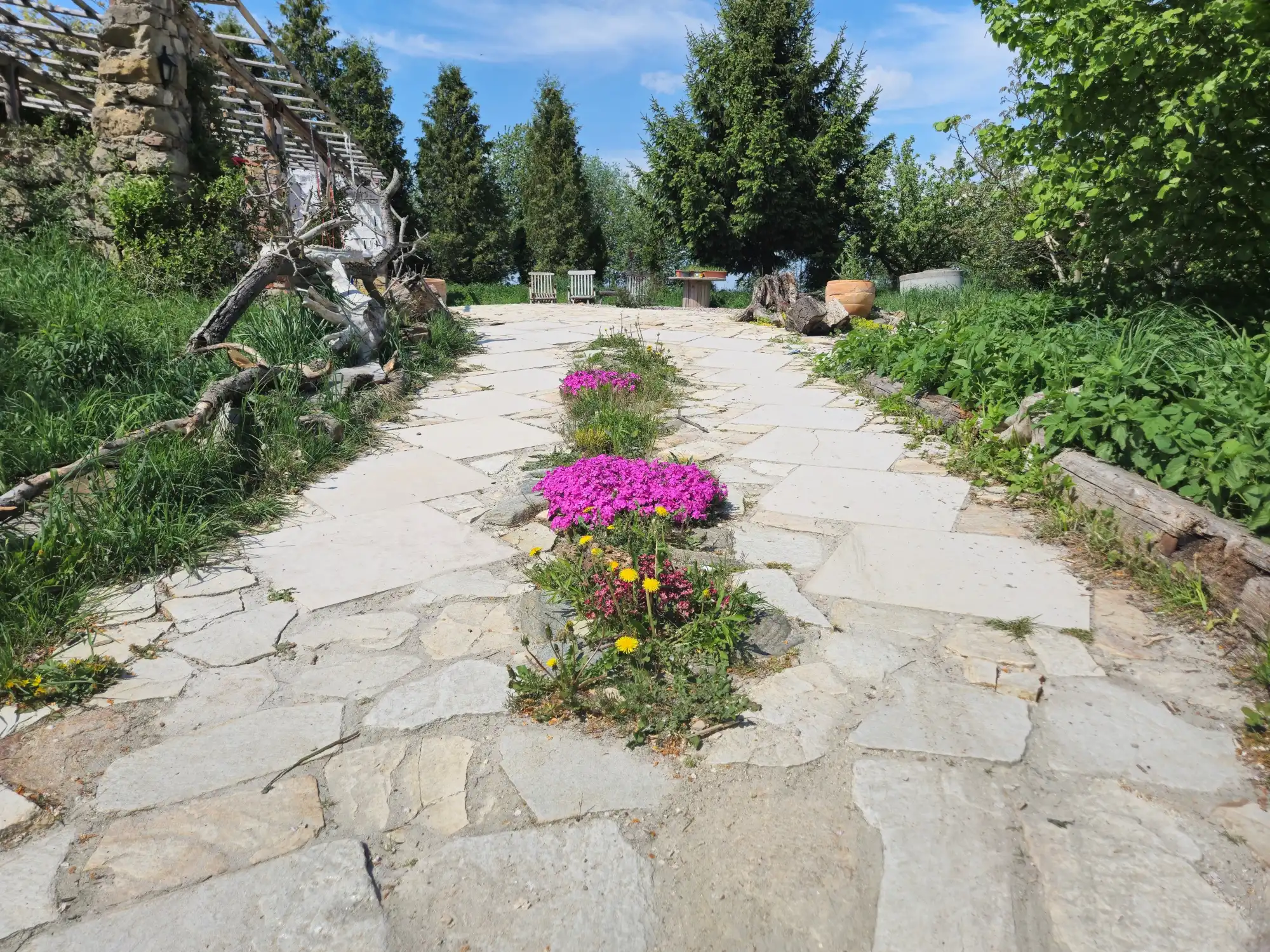Photos Dom/Pensjonat inspirowany naturą - Prywatna lokalizacja
