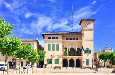 Manoir à vendre Ses Salines, Îles Baléares:  