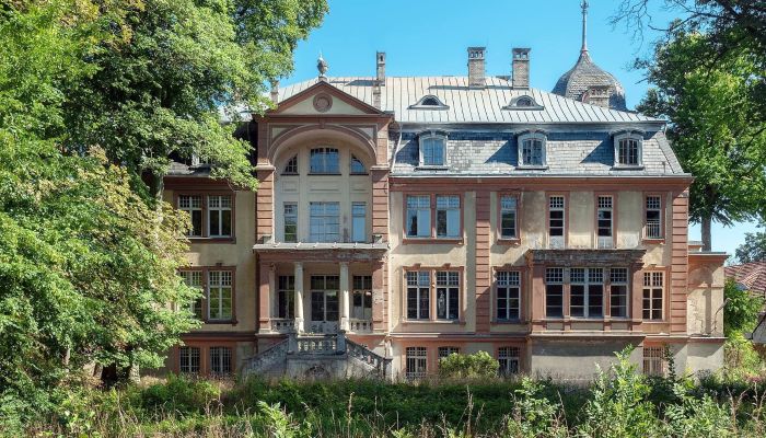 Château à vendre Brzeźnica, Lubusz,  Pologne