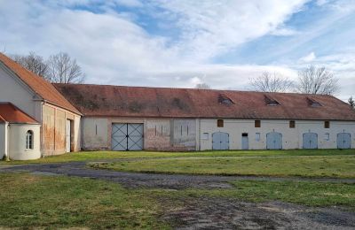 Kasteel te koop Brzeźnica, Bobrzańska 1, Lubusz, Stodoły część Wschodnia
