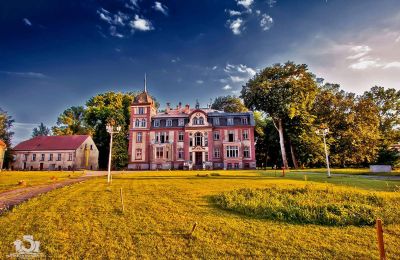 Kasteel te koop Brzeźnica, Bobrzańska 1, Lubusz, Stan wspołczesny