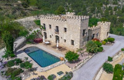 Villa historique à vendre Relleu, Communauté Valencienne:  