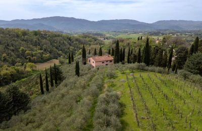 Maison de campagne à vendre Vicchio, Toscane, Image 36/39