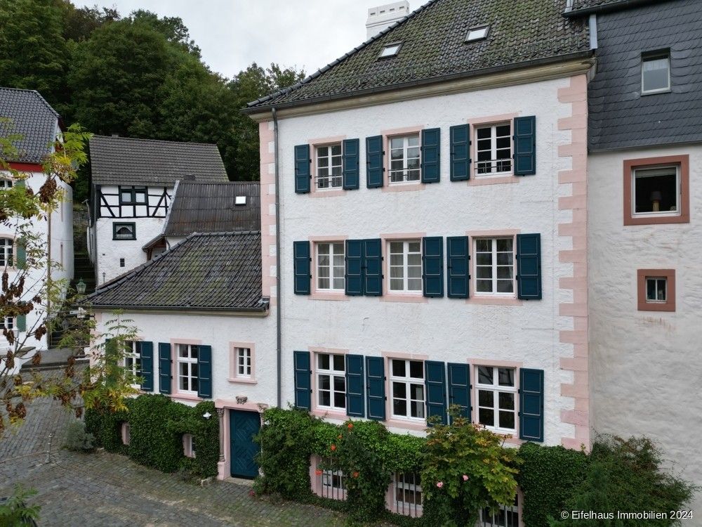 Images Historisches Stadthaus-Juwel, saniert, auf 5 Ebenen: Wohnen, Arbeiten, Ausstellen, ges. 234 m²