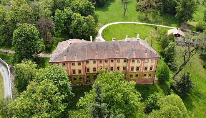 Kasteel te koop Kraj Vysočina,  Tsjechische Republiek