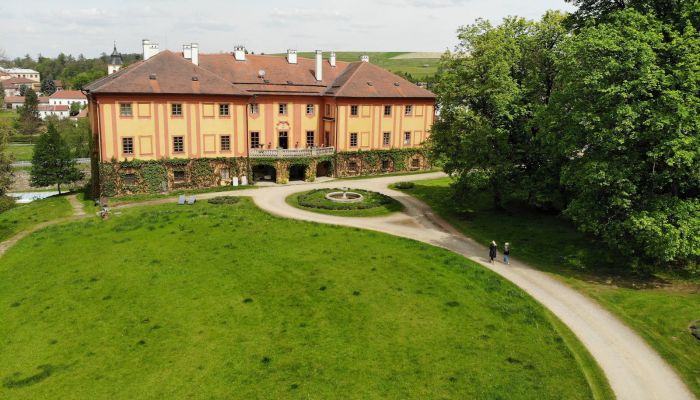 Château à vendre Région de Vysočina