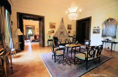 Kasteel te koop Kraj Vysočina, Foto 10/19