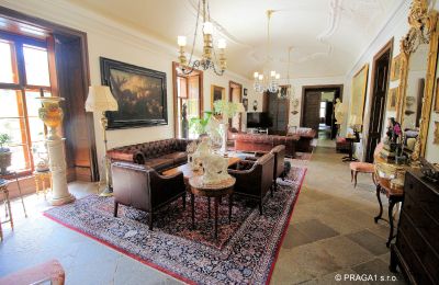 Kasteel te koop Kraj Vysočina, Grote hal