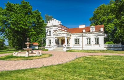 Kasteel te koop 05-332 Żaków, Mazovië, Vooraanzicht