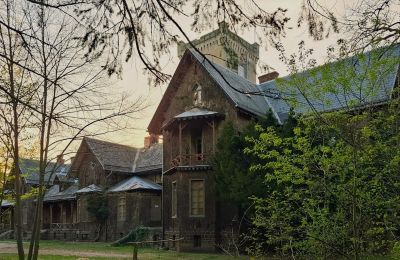 Château à vendre Sośnie, Jana Sztolcmana 1, Grande-Pologne, Image 7/8