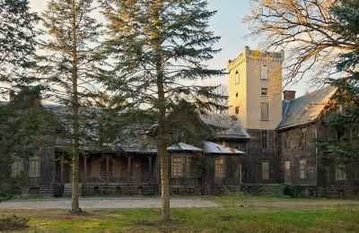 Château à vendre Sośnie, Jana Sztolcmana 1, Grande-Pologne, Image 8/8