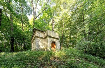 Landhuis te koop Poręba Żegoty, Ruiny Dworu Szembeków, Klein-Polen, Foto 16/20
