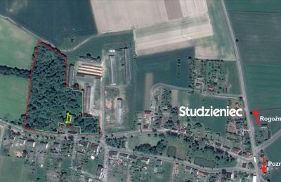 Landhuis te koop Rogoźno, Dwór w Studzieńcu 28, Groot-Polen, Eigendom