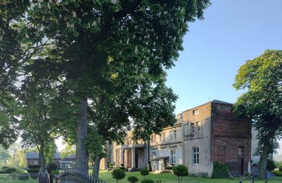 Landhuis te koop Orłów-Parcel, Łódź , Eigendom