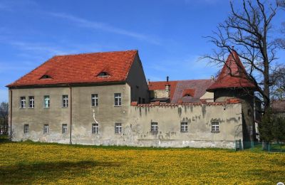 Kasteel Bielawa, Neder-Silezië