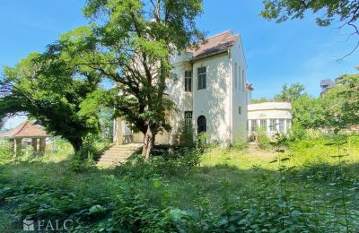 Historische villa te koop 99510 Apolda, Lessingstraße 62, Thüringen, Eigendom