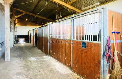 Landhuis te koop Pau, Nouvelle-Aquitaine, Foto 16/20