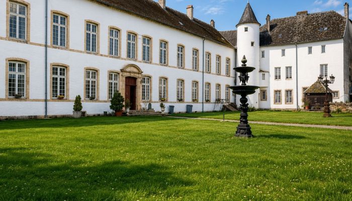Château à vendre Roussy-le-Bourg, Grand-Est