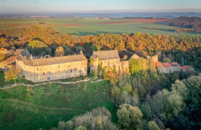 Kasteel te koop Roussy-le-Bourg, Grand-Est, Omgeving van het pand