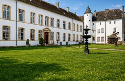 Historische panden, Uitzonderlijke Verkoop: Château de Roussy-Comté, op Slechts Een Steenworp van Luxe