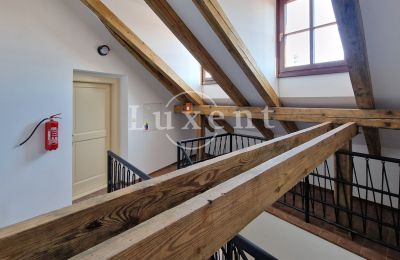 Herenhuis te koop Litoměřice, Mírové náměstí 12/4, Ústecký kraj, Foto 11/16