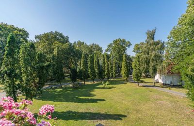 Kasteel te koop Mgowo, Pałac w Mgowie, Koejavië-Pommeren, Park