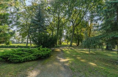 Kasteel te koop Mgowo, Pałac w Mgowie, Koejavië-Pommeren, Eigendom
