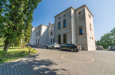 Kasteel te koop Mgowo, Pałac w Mgowie, Koejavië-Pommeren, Foto 13/17