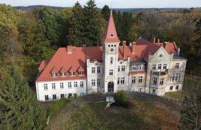 Kasteel Grabiszyce Średnie, Neder-Silezië