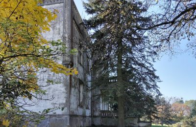 Kasteel te koop Górki Dąbskie, Pałac w Górkach Dąbskich, Koejavië-Pommeren, Foto 13/22