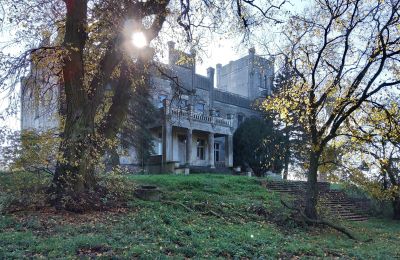 Kasteel te koop Górki Dąbskie, Pałac w Górkach Dąbskich, Koejavië-Pommeren, Foto 14/22